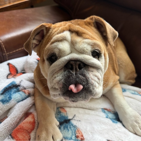 Meet your Posher, Cindi - Picture 8 of 8